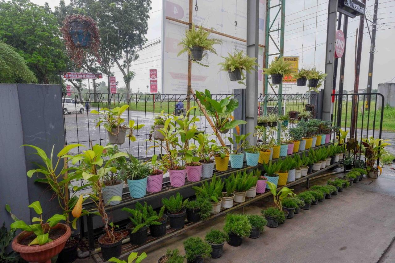 Oyo 3746 Double Tree Guesthouse Purwokerto Luaran gambar